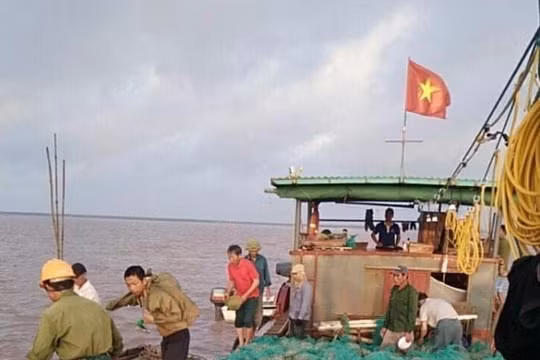 UBND TP. Hải Phòng ra “tối hậu thư”, người dân vẫn kêu cứu