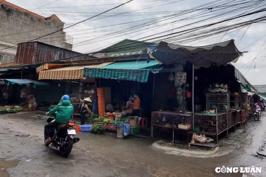 Vì sao người dân Khu dân cư Đại Dũng suốt 20 năm vẫn mỏi mòn sổ đỏ?