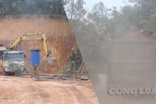 Phù Ninh (Phú Thọ): Công ty TNHH Thanh Lâm múc đất trái phép của dân để thi công dự án?