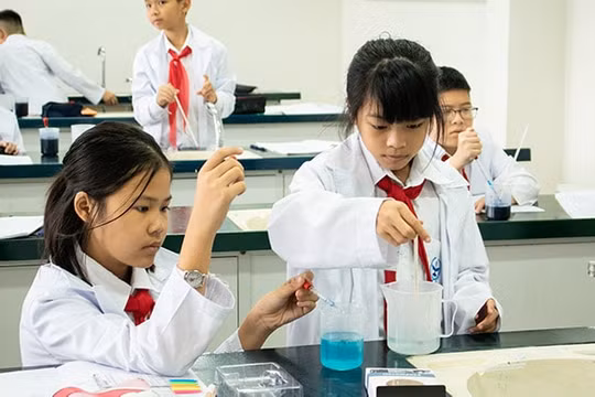 TP. Hồ Chí Minh: Yêu cầu chấm dứt thí điểm chương trình giáo dục tích hợp