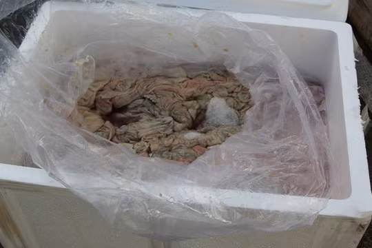 Người đàn ông bị xử phạt 17 triệu đồng vì mua, bán thực phẩm kém chất lượng