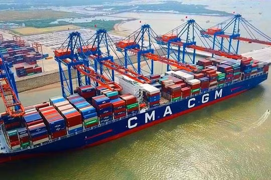Hãng tàu lớn thứ ba thế giới cam kết ngừng tăng giá cước tại Việt Nam