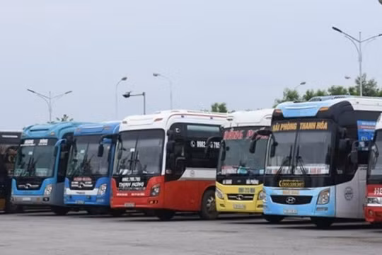 Hải Phòng: Dừng vận tải hành khách tuyến cố định đi, đến Thanh Hoá từ 15/9