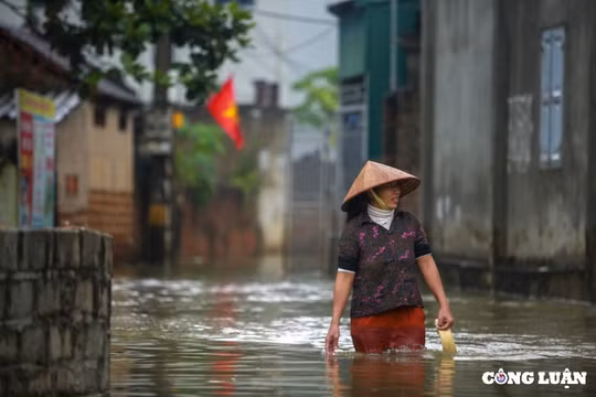 Hà Nội: Nước sông dâng cao gây ngập ở Chương Mỹ, hơn trăm hộ dân bị cô lập