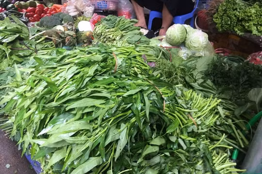Thực hư chuyện 50.000 đồng, một mớ rau muống tại TP.HCM