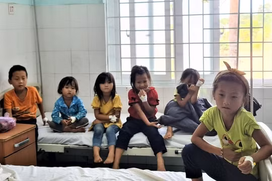 Hơn 100 người nhập viện sau khi ăn cỗ đám cưới