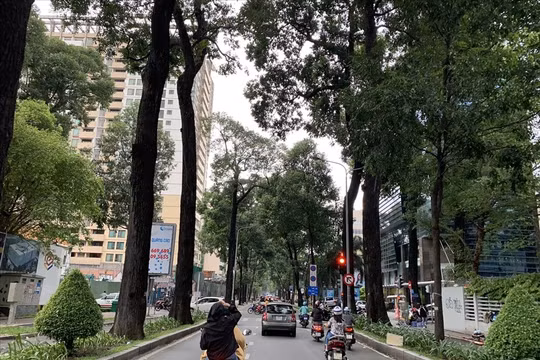 TP. HCM: Thời tiết chuyển lạnh