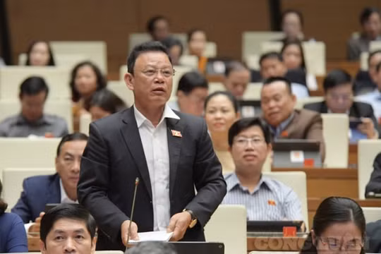 Đại biểu Quốc hội: Các bộ luật tố tụng hiện nay không còn phù hợp