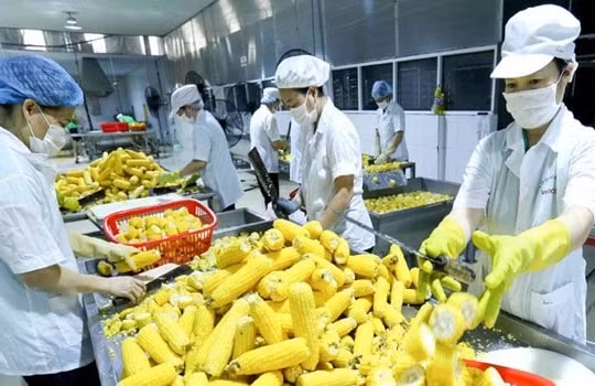 Xuất khẩu nông sản tăng trưởng 19,7% trong quý I