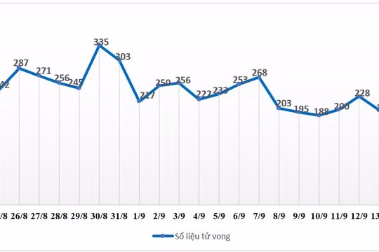 Số ca tử vong vì Covid-19 tại TP. HCM "đi ngang" trong 3 ngày liên tiếp