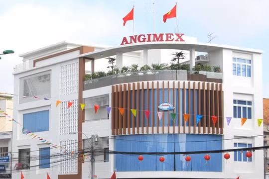 Angimex (AGM) bị HoSE nhắc nhở về việc tạm hoãn trả cổ tức 2020