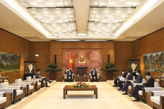 Tăng cường hợp tác, kết nối giữa Quốc hội Việt Nam với các hoạt động của Liên hợp quốc