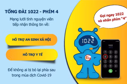TP. HCM: Thành lập mạng lưới tình nguyện viên tiếp nhận thông tin qua tổng đài 1022