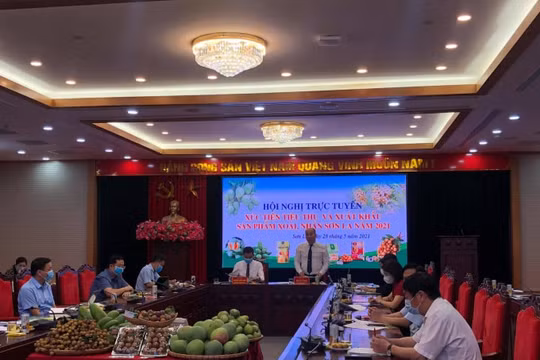 Sơn La sẽ "livestream" bán nông sản, hỗ trợ nông dân vượt dịch