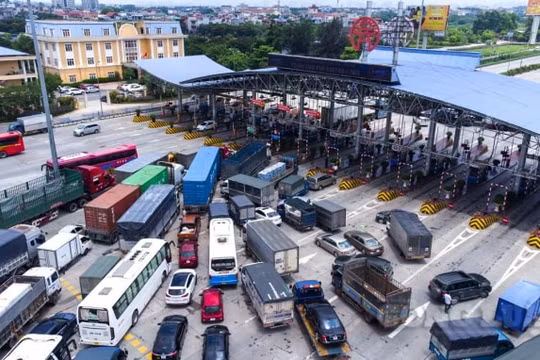 Chỉ phương tiện vận tải hàng hóa được di chuyển trên “luồng xanh”