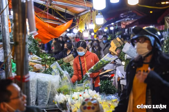 Tấp nập chợ hoa Quảng An trước ngày Phụ nữ Việt Nam 20/10