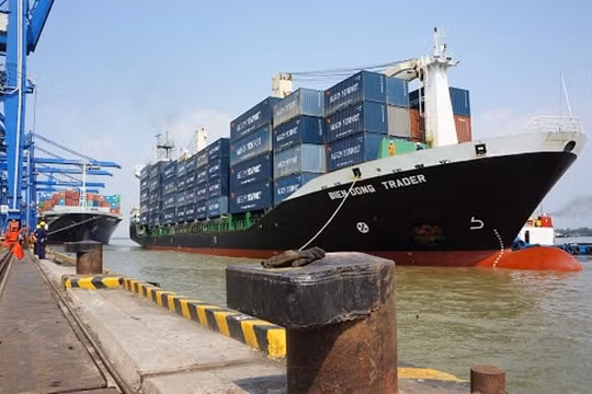 Không đăng ký giao dịch chứng khoán, một doanh nghiệp bị phạt 350 triệu đồng