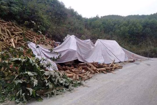Vụ lật xe khiến 7 người tử vong tại Thanh Hóa: Xe tải tăng tốc trước khi xảy ra tai nạn