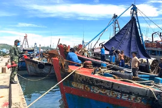Quảng Ngãi: Hơn 300 ngư dân đòi tự cách ly y tế ngay tại tàu cá