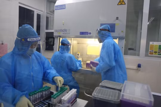 Nghệ An ghi nhận thêm 6 ca F1 nhiễm Covid-19 mới