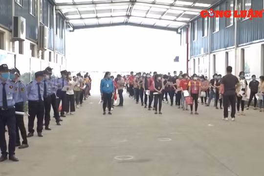 Phát huy hiệu quả chính sách hỗ trợ về BHXH, BHTN cho người lao động và người sử dụng lao động