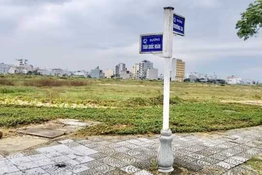 Công ty có giám đốc tự tử tại tòa: Nhận chuyển nhượng 2 lô đất, giá gấp 90 lần vốn