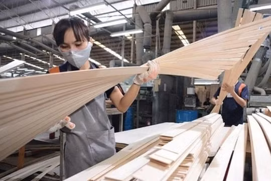 Cảnh báo 10 mặt hàng xuất khẩu bị áp dụng biện pháp phòng vệ thương mại