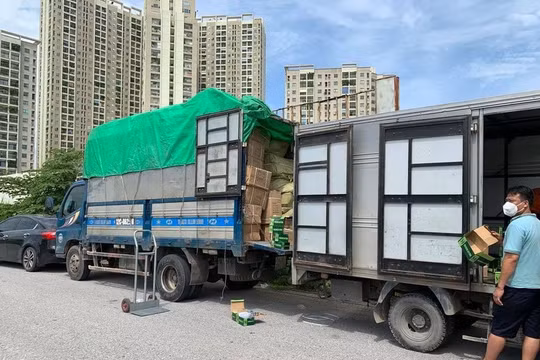 Hà Nội: Phát hiện 1.000 bộ van máy thở oxy không rõ nguồn gốc