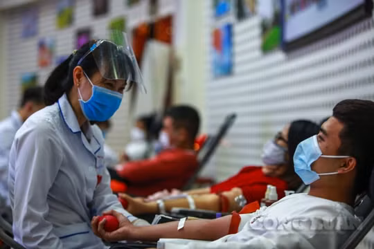 Ngày 27/2 ở Viện Huyết học - Truyền máu Trung ương