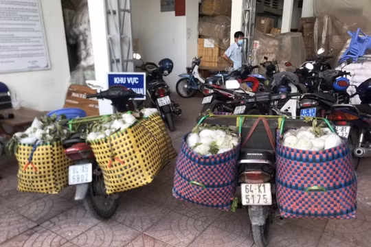 Vĩnh Long: Thuốc lá nhập lậu được ngụy trang trong các giỏ đựng trái cây
