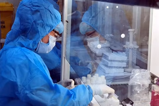 Sáng 29/6, Hải Phòng tiếp tục có thêm trường hợp dương tính với SARS-CoV-2