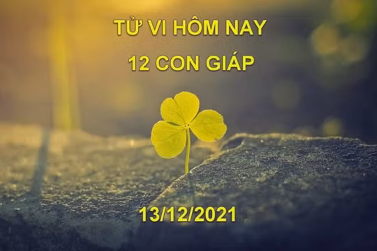 Tử vi hôm nay 13/12/2021, thứ 2 ngày 10/11 âm lịch của 12 con giáp