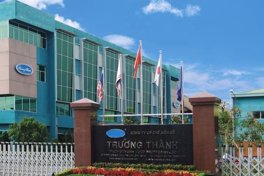Lãi quý 3 giảm tới 80%, vốn âm nặng, Gỗ Trường Thành (TTF) phát hành cổ phiếu và cấn trừ nợ