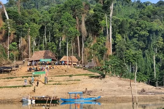 Thành lập Ban Quản lý Vườn Quốc gia Sông Thanh, tỉnh Quảng Nam