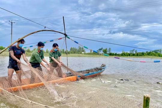 Đằng sau hàng chục tấn cá tươi, rau xanh… công an An Giang gửi tặng người dân