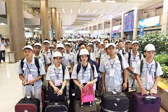 Nhiều doanh nghiệp tạm dừng đưa lao động đi làm việc ở nước ngoài