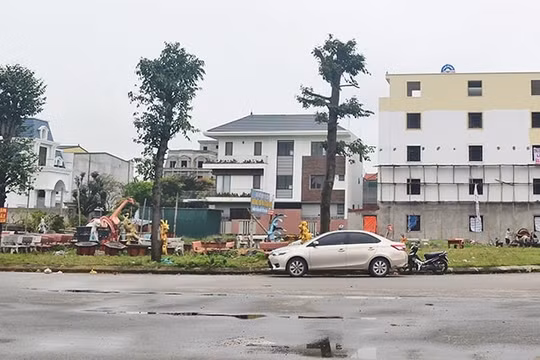 Vợ chồng giám đốc công ty Minh Khang đã thực hiện hành vi lừa đảo thế nào?