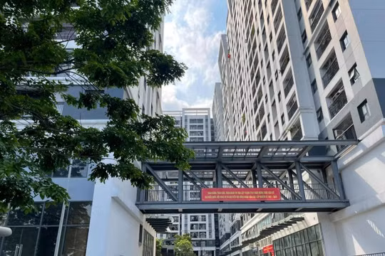 Hàng chục hộ dân Hope Residences kêu cứu, khi bị chủ đầu tư cắt nước giữa tâm dịch