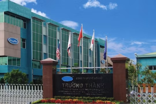 Gỗ Trường Thành tiếp tục kinh doanh thua lỗ quý 1/2021