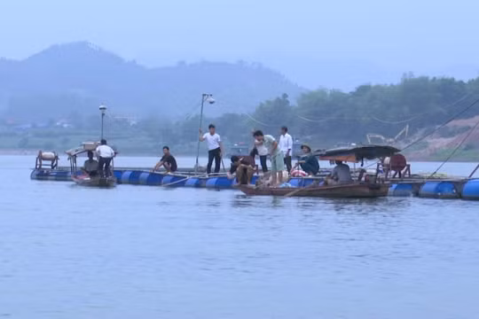 Phú Thọ: Thi thể 2 học sinh mất tích trên sông Đà đã được tìm thấy