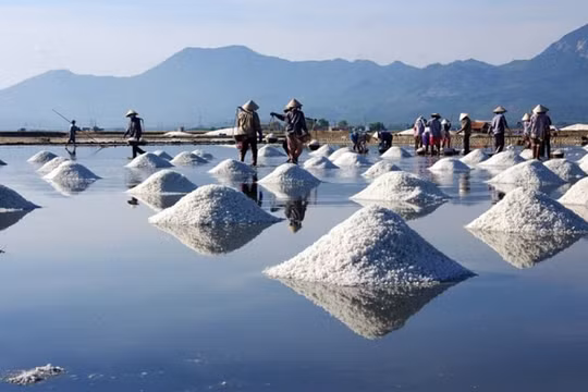 Những cánh đồng muối nổi tiếng ở miền Trung