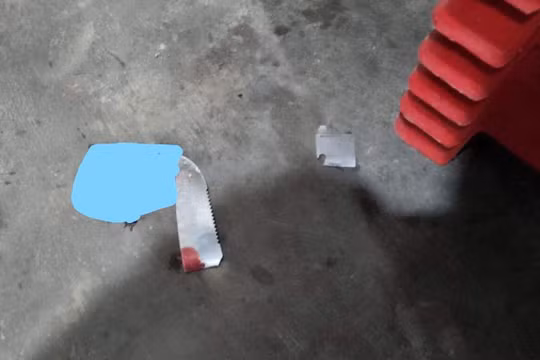 Bình Dương: Nghi án con trai ruột ngáo đá giết mẹ rồi tự sát