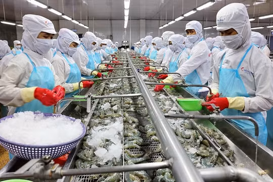 Ngành tôm đối mặt với nhiều khó khăn