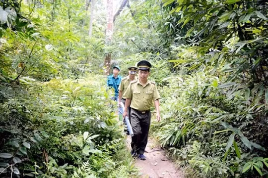 Những loại nhà, đất công không thực hiện sắp xếp, xử lý lại