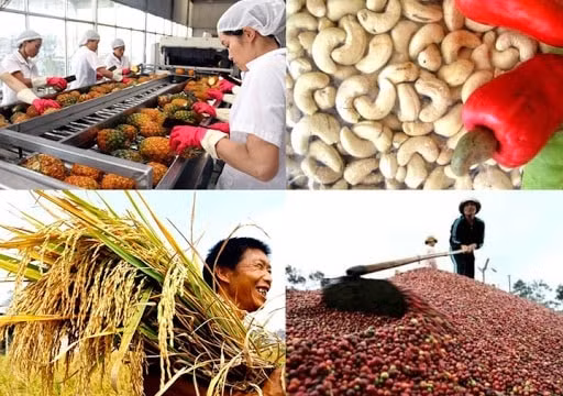 Thúc đẩy công tác chế biến và phát triển thị trường nông sản