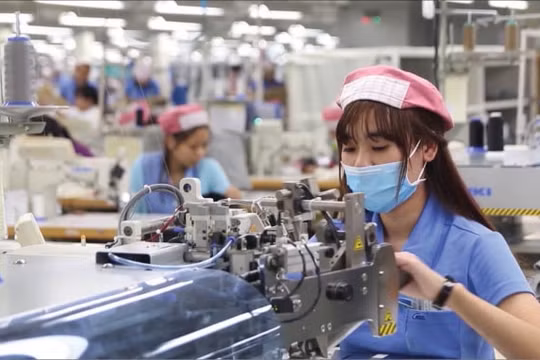 Các doanh nghiệp vừa và nhỏ tại Việt Nam đang “đói” vốn