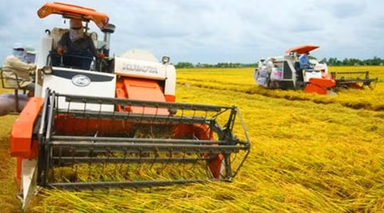 Việt Nam giữ ổn định 3,5 triệu ha đất trồng lúa