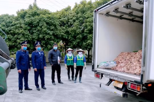 Quảng Ninh: Tiêu hủy 2.400kg mỡ bò bẩn không rõ nguồn gốc xuất xứ