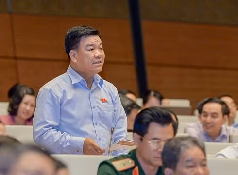 “Tôi quan tâm dạy thật, học thật và chuyện giáo sư ngành y bị khởi tố”