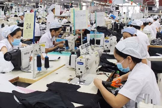 Năng suất lao động của Việt Nam tụt hậu 10 năm so với Thái Lan